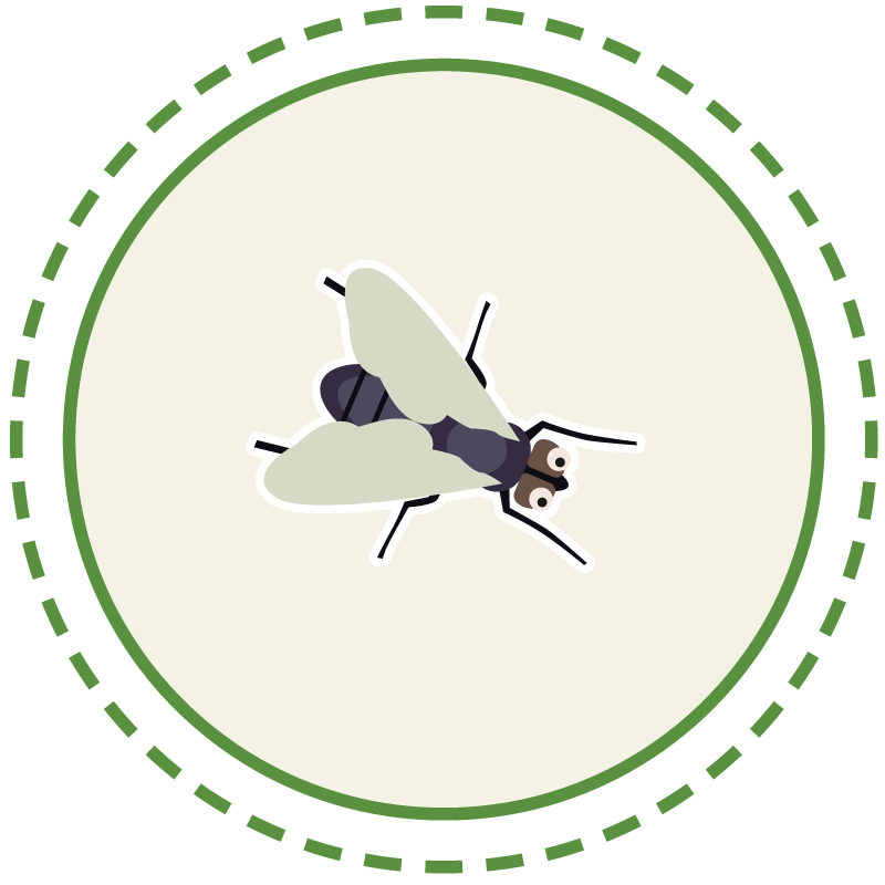 fly-circle-800